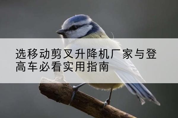 新会电动升降机厂家-选移动剪叉升降机厂家与登高车必看实用指南