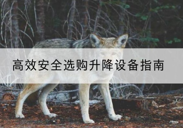 新会升降货梯厂家推荐-*安全选购升降设备指南