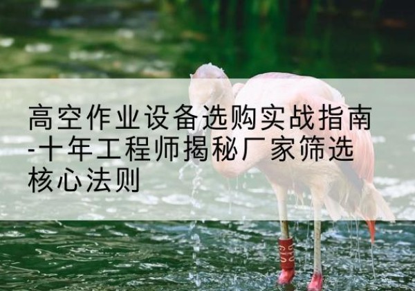 新会剪叉式升降机厂家-高空作业设备选购实战指南-十年工程师揭秘厂家筛选核心法则